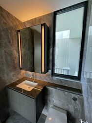 Leedon Green (D10), Condominium #559040271